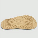 UGG Goldenstar Clog Brown